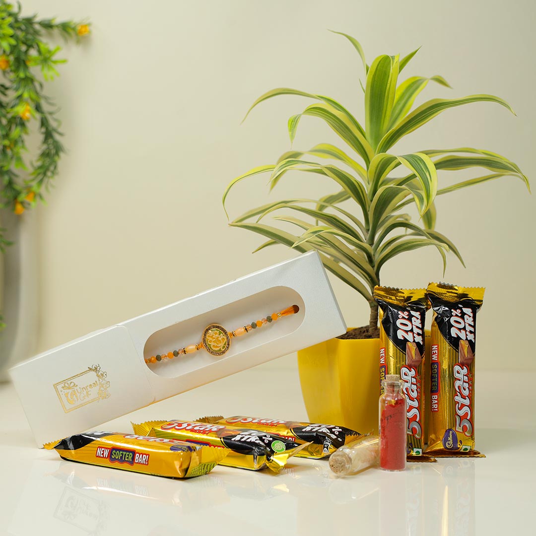 Send Ganesha Rakhi With Plant N Chocolates Hamper Online